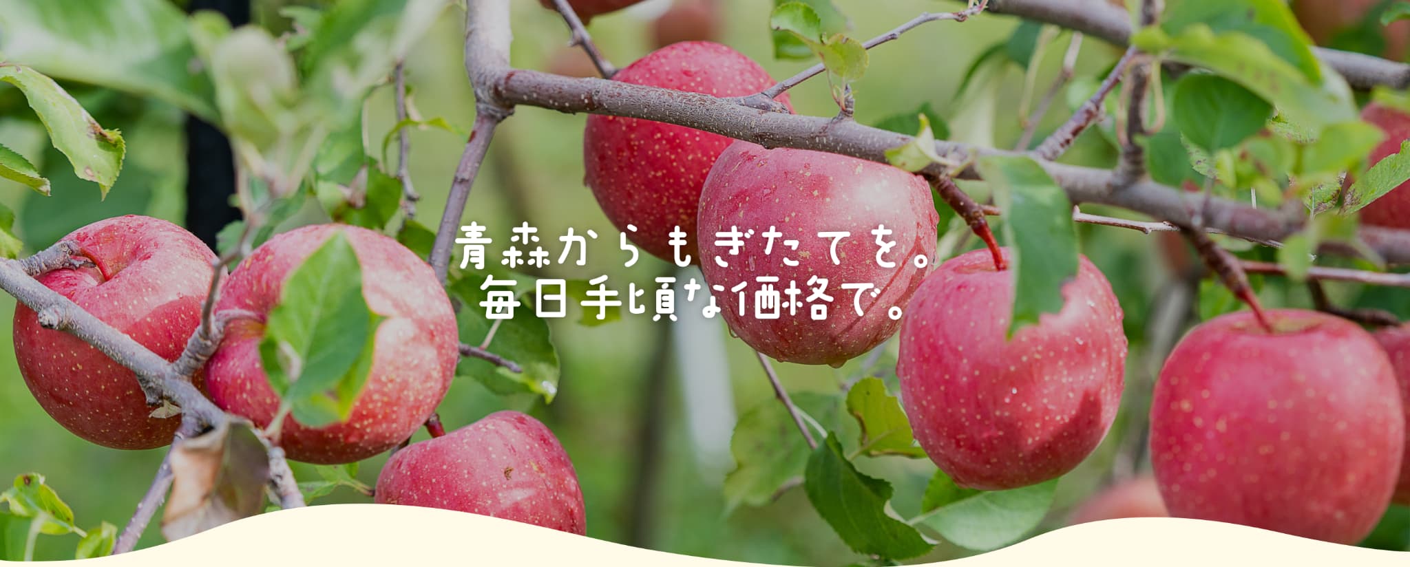 毎日手に取りたくなる、おいしいりんごを。