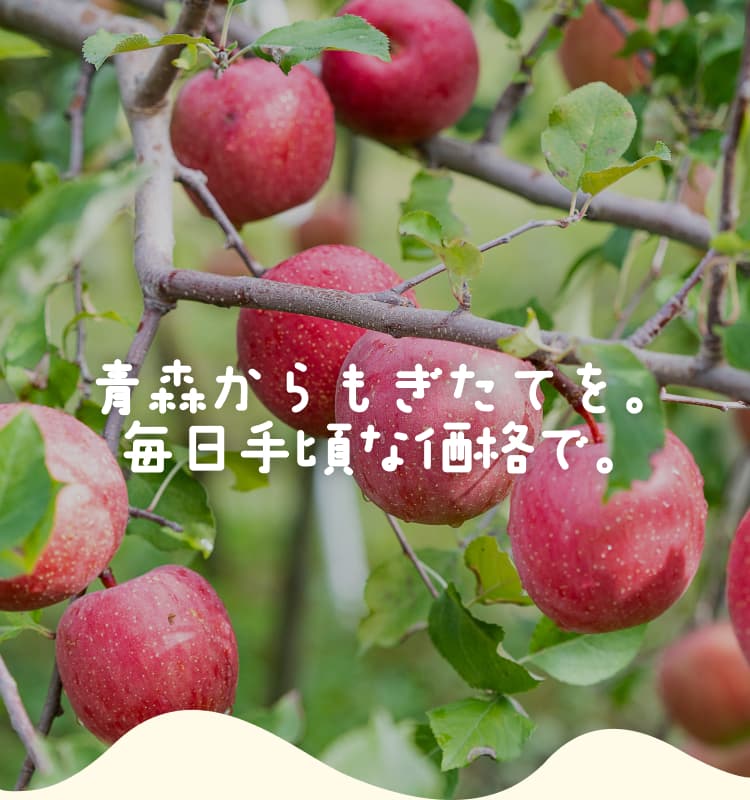 毎日手に取りたくなる、おいしいりんごを。